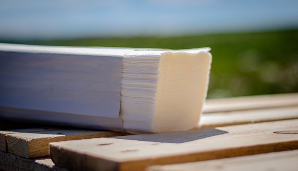 Papírový ručník skládaný Z-Z 2vrstvý, 25x21cm, 3200ks celulóza FROS