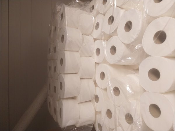 Toaletní papír 1000 útržků, 2vr celulóza (32ks) 65m bez přebalu FROS